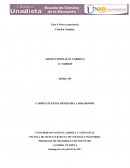 PROGRAMA DE DESARROLLO DE SOFTWARE