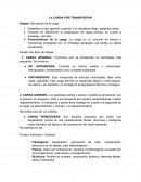 Características de la carga: La carga es un conjunto de bienes o mercancías protegidas por un embalaje apropiado que facilita su rápida movilización.