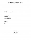 OBTENER DATOS A PARTIR DE LA EXTRACCION DELADN DEUNA PLANTA.
