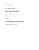 TRABAJO PRÁCTICO Tema: Población de Ecuador