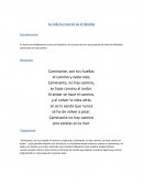 La vida la creas tú no el destino