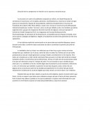 Situación de los campesinos en relación con la coyuntura nacional actual