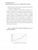 LOS RENDIMIENTOS DE ESCALA EN LA FABRICACIÓN DE CERVEZAS