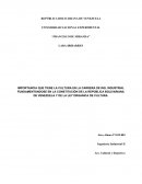 IMPORTANCIA QUE TIENE LA CULTURA EN LA CARRERA DE ING. INDUSTRIAL