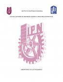 PRÁCTICA N° 5 PILAS DE COMBUSTIBLE (FUEL CELLS)