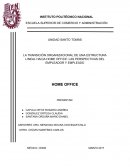 LA TRANSICIÓN ORGANIZACIONAL DE UNA ESTRUCTURA LINEAL HACIA HOME OFFICE: LAS PERSPECTIVAS DEL EMPLEADOR Y EMPLEADO