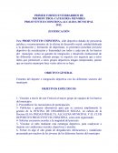 PRIMER TORNEO INTERBARRIOS DE MICROFUTBOL-CATEGORIA MENORES