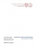 Llevar a cabo la observación de interacciones bacterianas