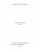 Actividad número 2 “Clasificación de la auditoria”