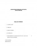 LABORATORIO DE MECANICA DE FLUIDOS