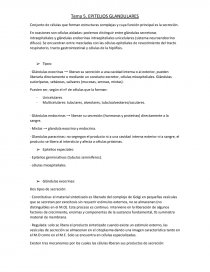 EPITELIOS GLANDULARES. Página 1