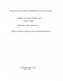 Análisis de los criterios de enseñanza de la tesis de grado