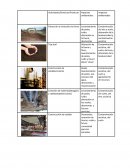 Impactos ambientales. Aspectos ambientales