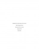 Introducción a la innovación en los servicios