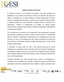 Capítulo 4 Análisis de Puestos