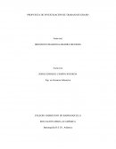 La clave de una alimentación balanceada y saludable