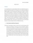 Segundo avance Shadowing