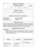 DIMENSION Y ESTRUCTURA DE LA ORGANIZACION