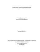 RELACION ENTRE LA ESTRUCTURA Y LA ESTRATEGIA