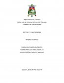 HISTORIA Y CARACTERISTICAS GENERALES DEL IMPERIO OTOMANO