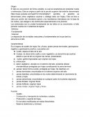 Tema del día: ¿Y mi tallo?