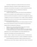 Que es la Administración de Operaciones