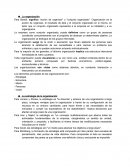 La estrategia de la organización