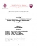 Practica #3 Creación de la empresa: “PURE GREEN FRIENDS”