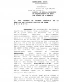 REQUERIMIENTO DE ADEUDO ALIMENTARIO