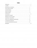 Demarcaciones conceptuales