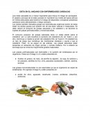 DIETA EN LOS ANCIANOS CON ENFERMEDADES CARDIACAS.