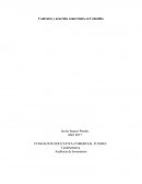 Contratos y Acuerdos Comeciales en Colombia