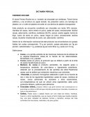 DICTAMEN PERICIAL FERRERO ROCHER