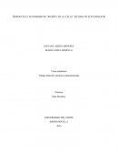 INDIGENTE EL EUFEMISMO DE “MUERTE EN LA CALLE” DE JOSE FELIZ FUENMAYOR