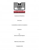 LA MATEMÁTICAS Y LA ARQUITECTURA ENSAYO