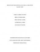 PROYECTO DE UTILIZACION DE LLANTAS PARA LA CREACIÓN DE BALONES “BARI”