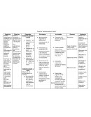 Proyecto “descubriendo mi Jardín”