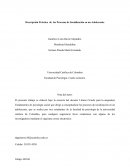 Descripcion de los procesos de evaluacion de un adolescenteю