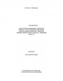 Proyeccion de una finca