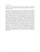 Ensayo Entorno económico.