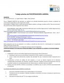 Trabajo práctico de PSICOPEDAGOGÍA LABORA