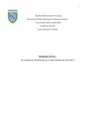 EL SECRETO PROFESIONAL COMO MEDIO DE PRUEBA