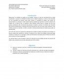 Cubicación de Árboles