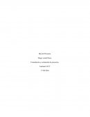 Diego varela flores. Formulación y evaluación de proyectos.