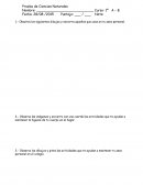 Observa las imágenes y encierra con una cuerda las actividades que te ayudan a mantener la higiene de tu cuerpo en el hogar.