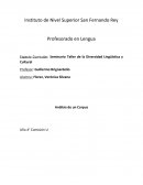 El corpus a analizar fue escrito por Griselda Romero de 27 años de edad quien vive actualmente en Colonia Benítez, ciudad cercana a Resistencia.