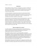 Cerebro y conducta - Actividad