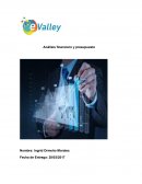Analisis financiero y presupuesto LA Esperanza S.A