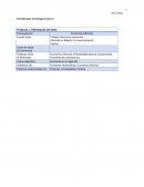 Trabajo informal y economía Informal en México. Un acercamiento Teórico