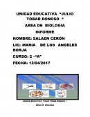 TEJIDOS ANIMALES